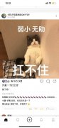 肖战连上多个热搜瑟瑟发抖 发文：只是一个打工仔，散了吧！