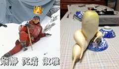 胡歌碰瓷式摔倒 与网红萝卜表情包同款姿势