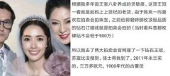 向佐郭碧婷婚礼发生失窃案 至今未找到窃贼