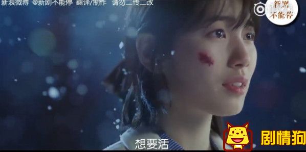 当你沉睡时预告首发 当你沉睡时预告在哪里可以看