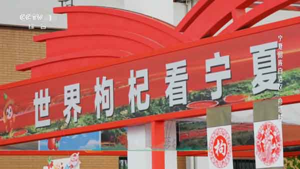 1696735585196803.jpg 05枸杞博览会.jpg