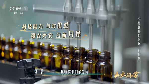 1696735592112949.jpg 06枸杞工厂.jpg
