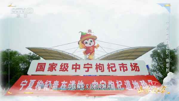 1696735550156994.jpg 01中宁枸杞市场.jpg