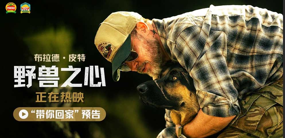<b>布拉德·皮特新片《野兽之心》今日上映 人犬情深奋力寻找回家之路</b>