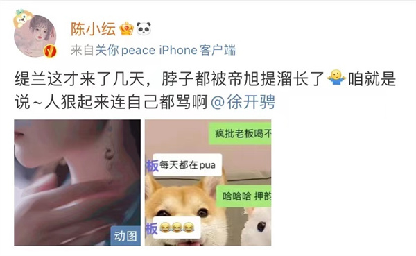 陈小纭《斛珠夫人》情感纠葛升级 “替身文学”剧情带感好上头(图2)